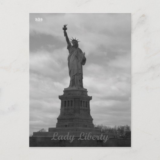 N.Y.E Lady Liberty Briefkaart (Voorkant)