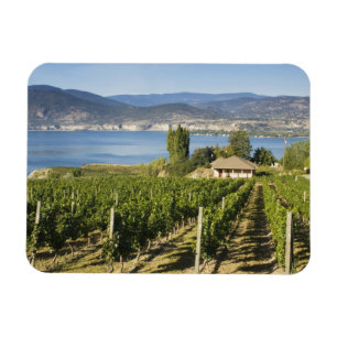 NA; Canada; Brits-Columbia; Okanagan-vallei; Magneet