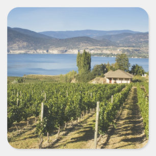 NA; Canada; Brits-Columbia; Okanagan-vallei; Vierkante Sticker
