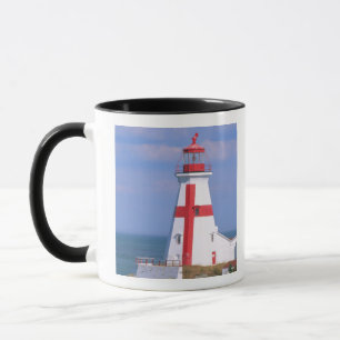 NA, Canada, New Brunswick, Campobello Island. 6 Mok