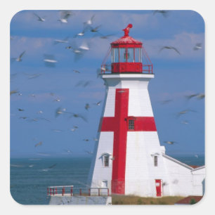 NA, Canada, New Brunswick, Campobello Island. 8 Vierkante Sticker