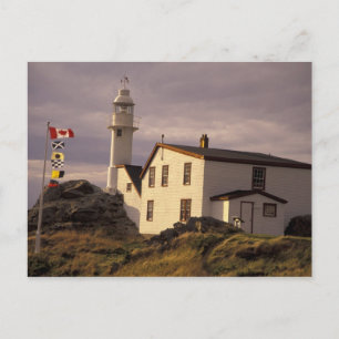 NA, Canada, Newfoundland, Lobster Cove. Kreeft Briefkaart