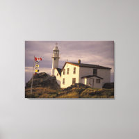 NA, Canada, Newfoundland, Lobster Cove. Kreeft