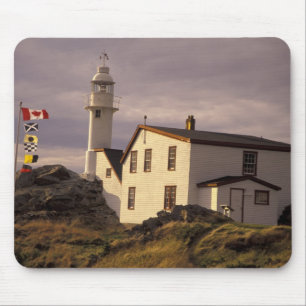 NA, Canada, Newfoundland, Lobster Cove. Kreeft Muismat