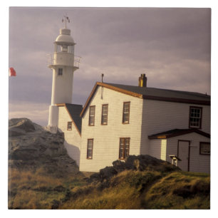 NA, Canada, Newfoundland, Lobster Cove. Kreeft Tegeltje