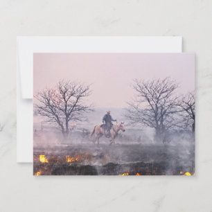 Na de brand in Prairie, Flint Hills, Kansas Briefkaart