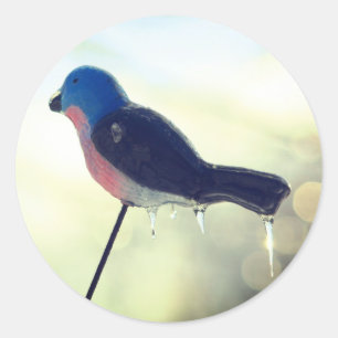 Na de Natuur van de Storm Ronde Sticker