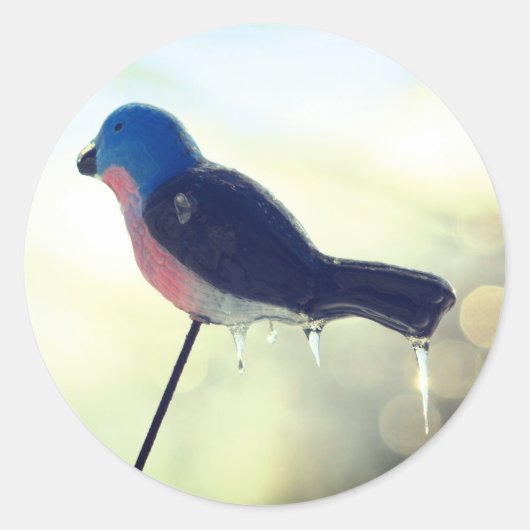 Na de Natuur van de Storm Ronde Sticker (Voorkant)