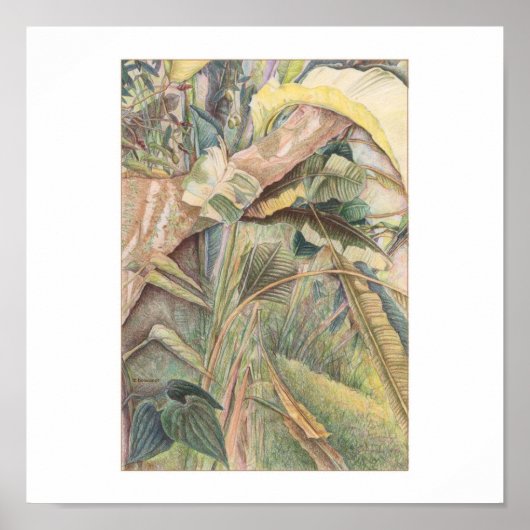 Na de regen © 2010 poster (Voorkant)