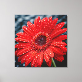 Na de regen Gerbera Daisy realisme Schilderen Canvas Afdruk