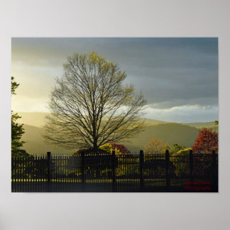 Na de regen poster
