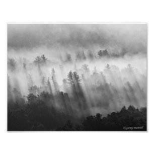 Na de regen - Vroege ochtend in de Adirondacks Foto Afdruk