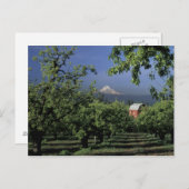 Na, de V.S., Oregon, dichtbij Mt. Kap van de Briefkaart (Voorkant / Achterkant)