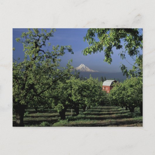 Na, de V.S., Oregon, dichtbij Mt. Kap van de Briefkaart (Voorkant)