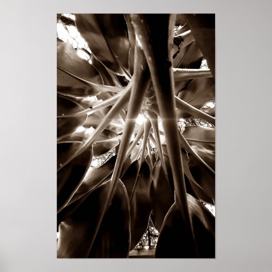 Na direção do sol poster (Voorkant)