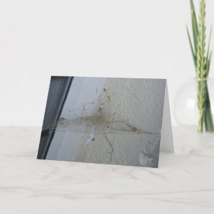 "Na een Spider's House-Party" Kaart van Hwe