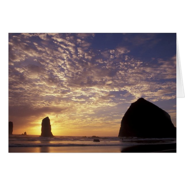 NA, États-Unis, Oregon, côte de l'Oregon, Canon Be (Devant horizontal)