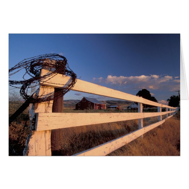 NA, États-Unis, Washington, près de Walla Walla, c (Devant horizontal)