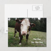Na. Funny Cow Sticks Out Tongue Briefkaart (Voorkant / Achterkant)