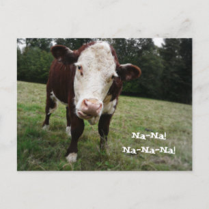 Na. Funny Cow Sticks Out Tongue Briefkaart