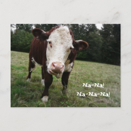 Na. Funny Cow Sticks Out Tongue Briefkaart (Voorkant)