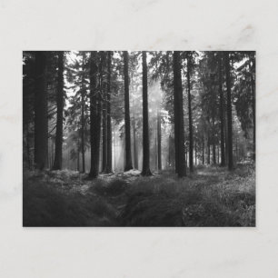 Na het Briefkaart Regen