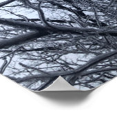 Na het Ice-Storm Poster (Hoek)