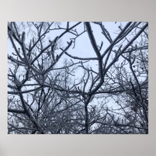 Na het Ice-Storm Poster