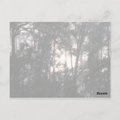 Na het Storm - Briefkaart #2 (Achterkant)