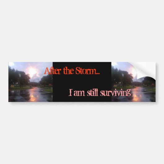 Na het Storm Bumpersticker (Voorkant)