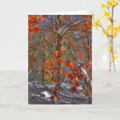 Na het Storm Kaart (Gele Bloem)