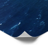 na palikust kauai poster (Hoek)