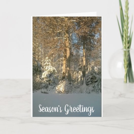 Na sneeuwval feestdagen kaart (Voorkant)