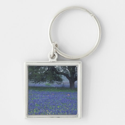 NA, Texas, Devine, Eik en blauwe lupine Sleutelhanger (Voorkant)