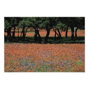 NA, Texas, Texas Hill Country, Buchan Dam, Foto Afdruk