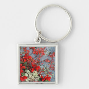 NA, USA, Alaska, Denali NP, Beer berry en Sleutelhanger