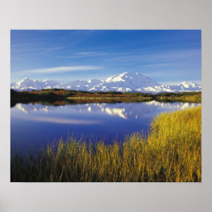 NA, USA, Alaska, Denali NP Mt. McKinley in Poster