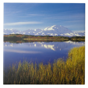 NA, USA, Alaska, Denali NP Mt. McKinley in Tegeltje