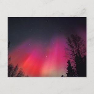 NA, USA, Alaska, Fairbanks, Gordijnen van roze en Briefkaart