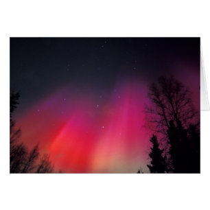 NA, USA, Alaska, Fairbanks, rideaux roses et