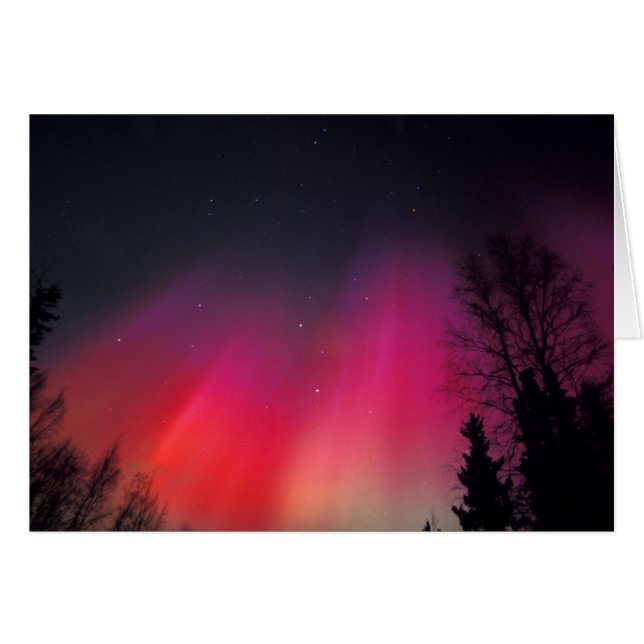 NA, USA, Alaska, Fairbanks, Rideaux roses et (Devant horizontal)