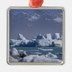 NA, USA, Alaska, St. Elias Range, Alsek River Metalen Ornament