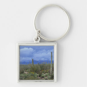 NA, USA, Arizona, Saguaro National Monument (Natio Sleutelhanger