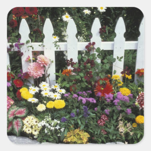 NA, USA, Washington, Sammamish, White picket Vierkante Sticker