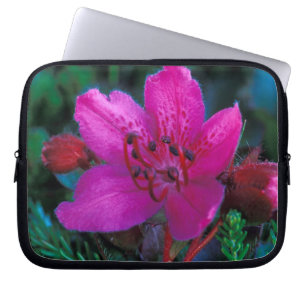 NA, VS, Alaska, Aleoeten, Wilde bloemen Laptop Sleeve