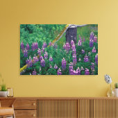 NA, VS, Alaska, Aleutian Islands, Unalaska, Canvas Afdruk (Insitu (Woonkamer))