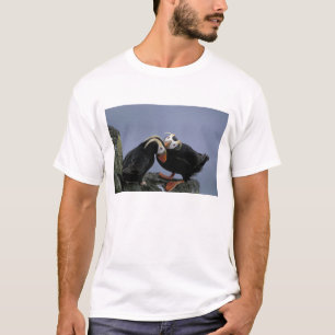 NA, VS, Alaska, Beringzee, Pribilofs. Kuif- T-shirt