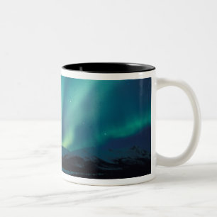 NA, VS, Alaska, Brooks Range, Gordijnen van groen Tweekleurige Koffiemok