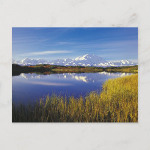 NA, VS, Alaska, Denali NP Mt. McKinley in Briefkaart