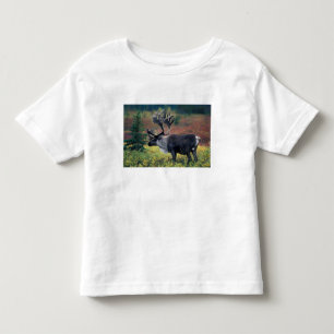 NA, VS, Alaska, Denali NP, Stier kariboe 3 Kinder Shirts